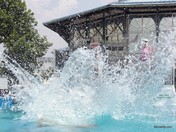 A dog makes a splash at Harborfest in Norfolk, Va.