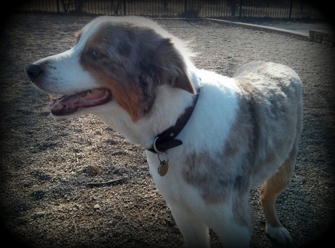 Bob O'Reilly, 2004-2015